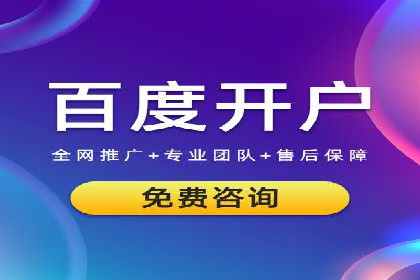 百度优化推广案例剖析：某电商平台的成功之路